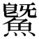 鱀