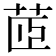 茝