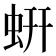 蚈