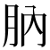 肭