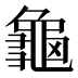 龜