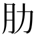 肋