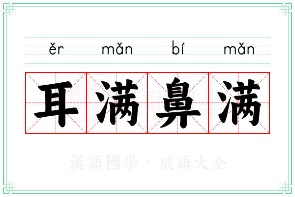 耳满鼻满