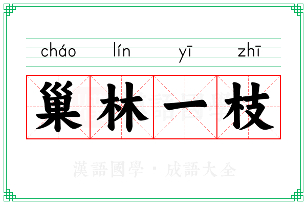 巢林一枝