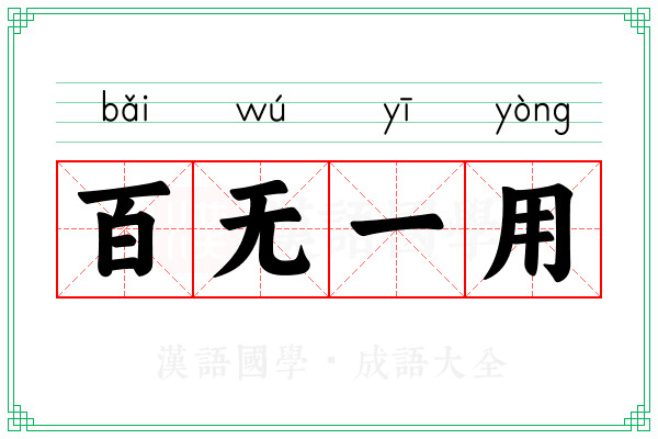 百无一用