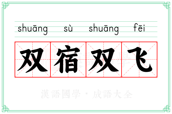 双宿双飞 双宿双飞