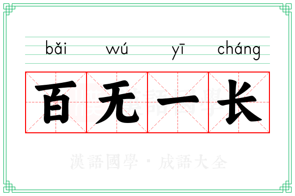 百无一长