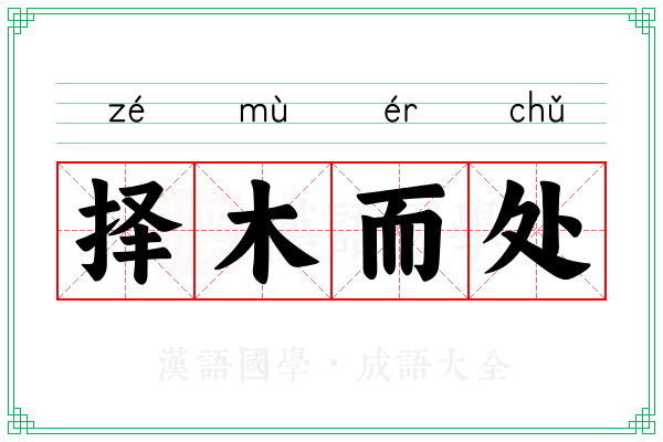 择木而处