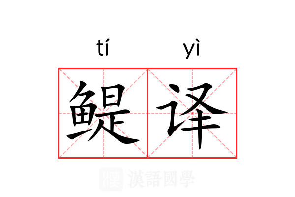 鳀译