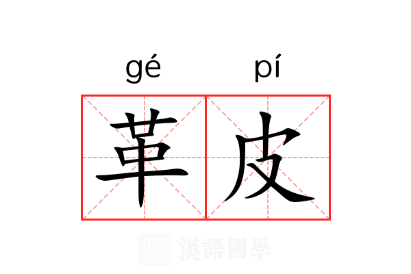 革皮