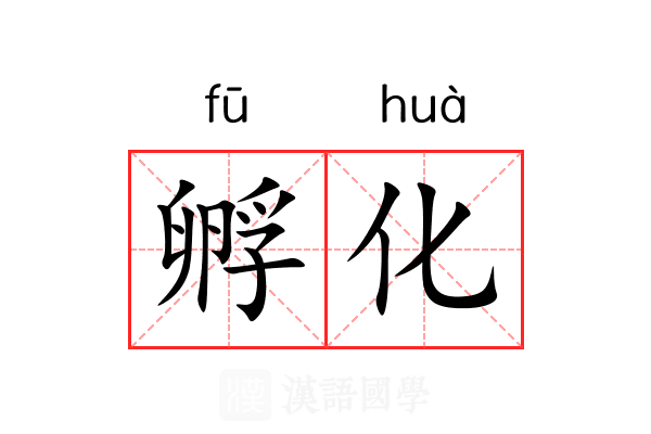 孵化