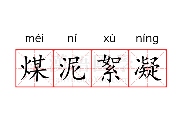 煤泥絮凝