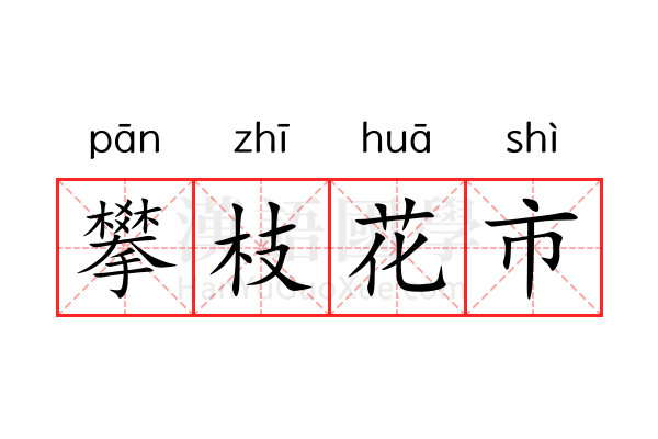 攀枝花市