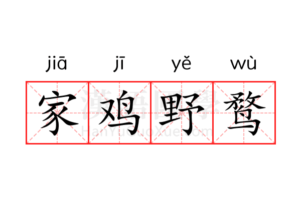 家鸡野鹜