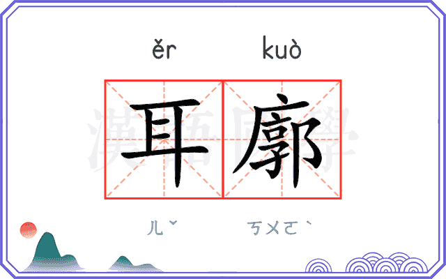 耳廓