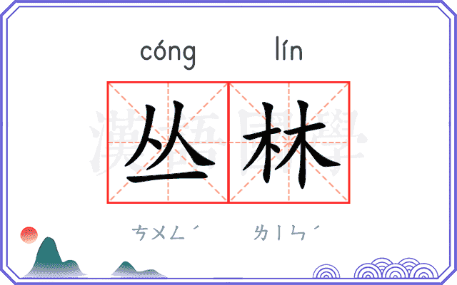 丛林