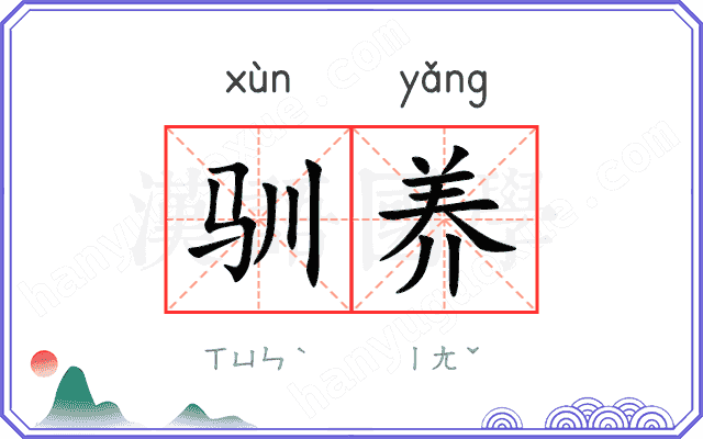 驯养