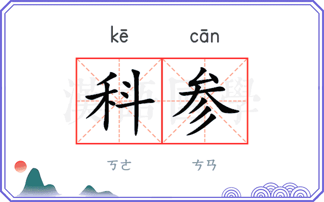 科参 科参