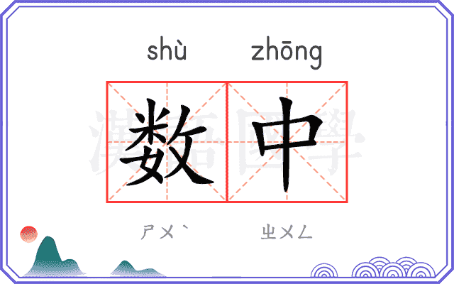数中 数中