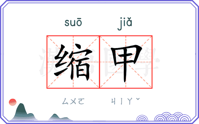 缩甲