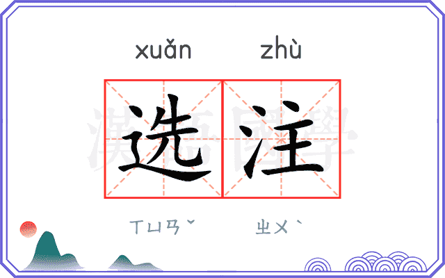 选注