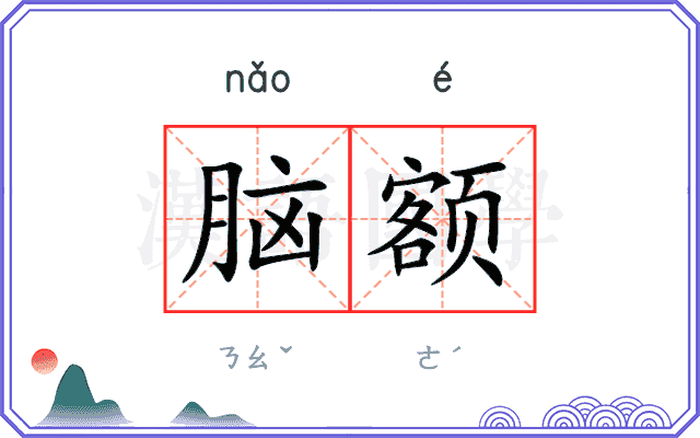 脑额 脑额