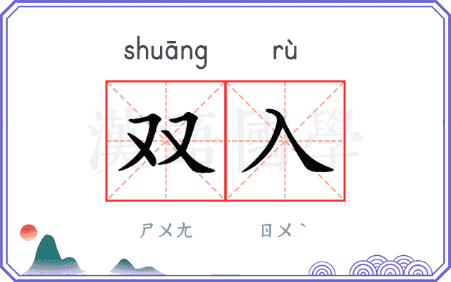 双入