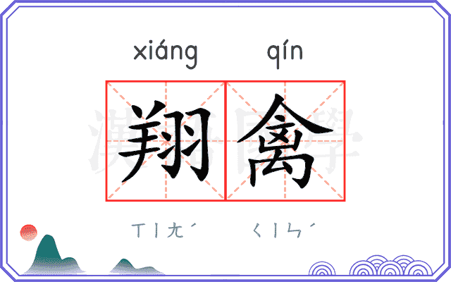 翔禽