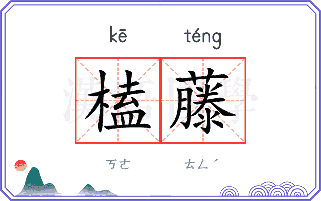 榼藤