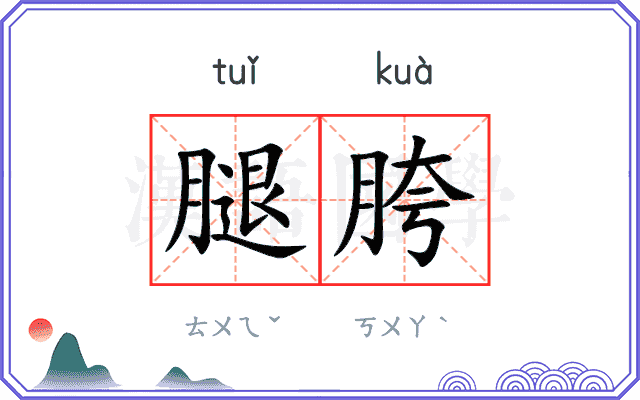 腿胯