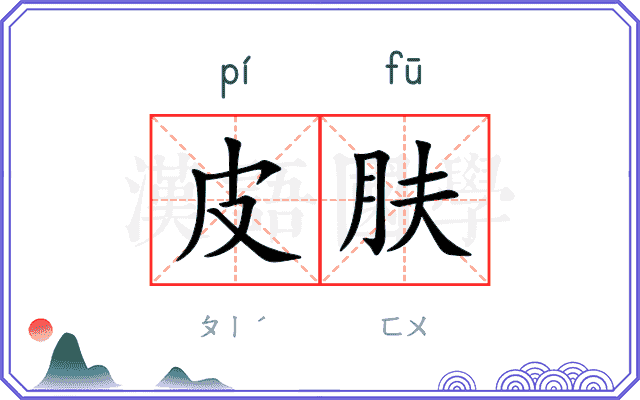 皮肤