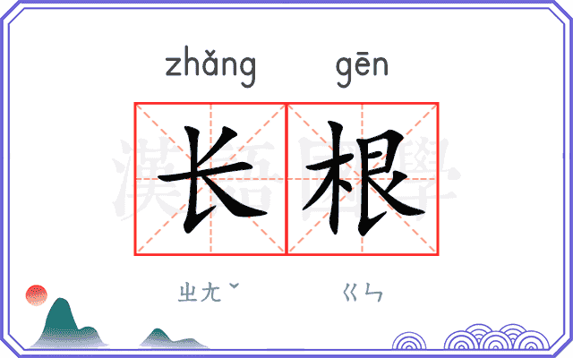 长根 长根