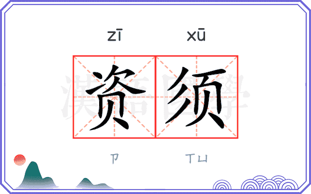 资须