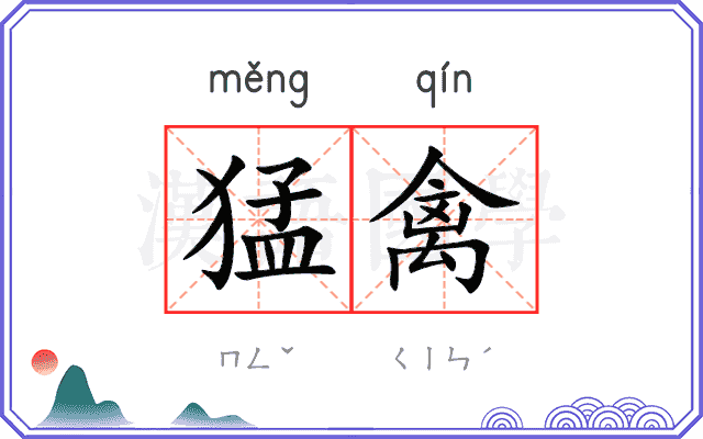 猛禽