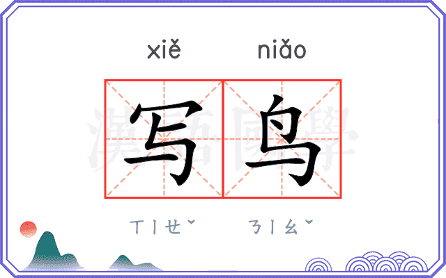 写鸟