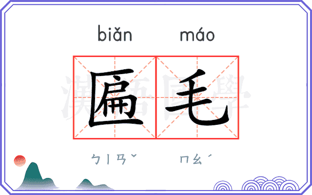 匾毛