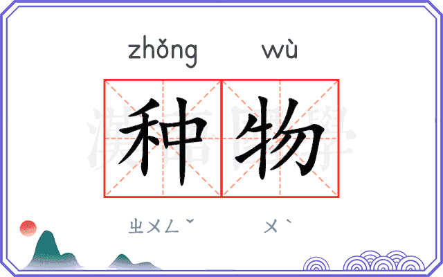 种物 种物