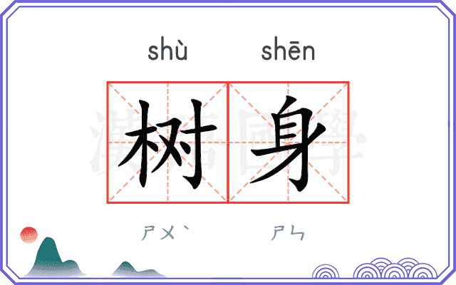 树身