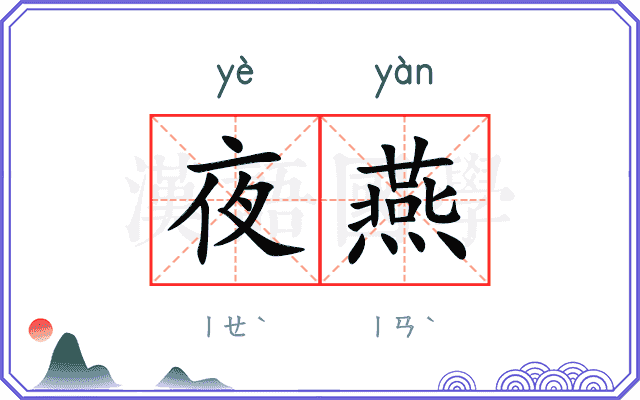 夜燕 夜燕