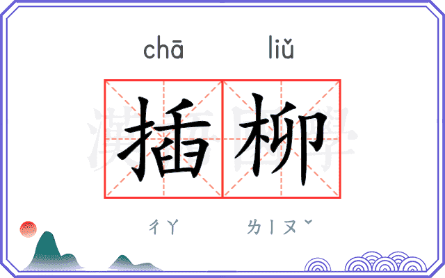插柳