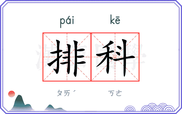 排科