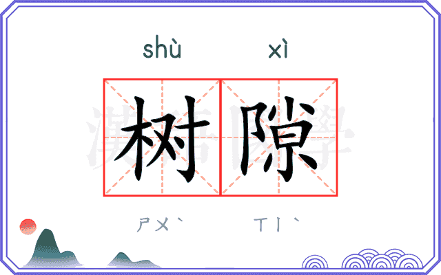 树隙