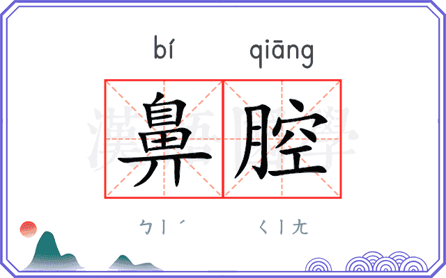 鼻腔