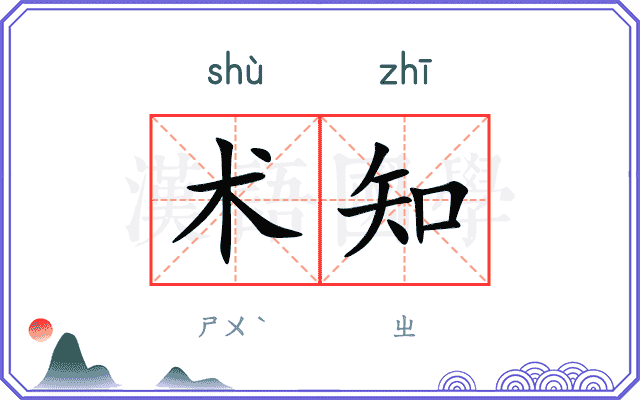 术知 术知