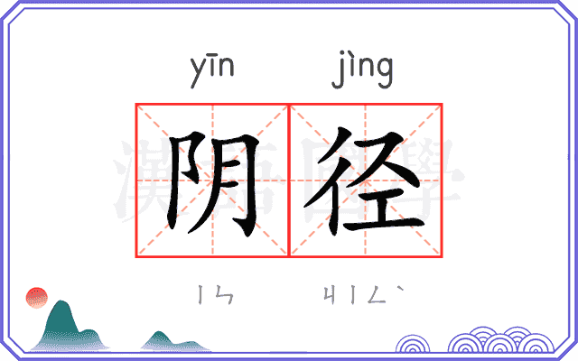 阴径