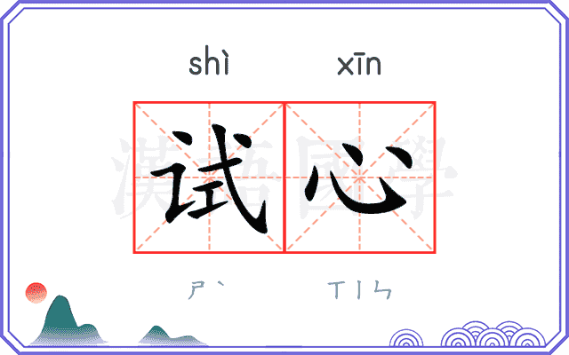 试心