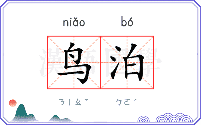 鸟泊