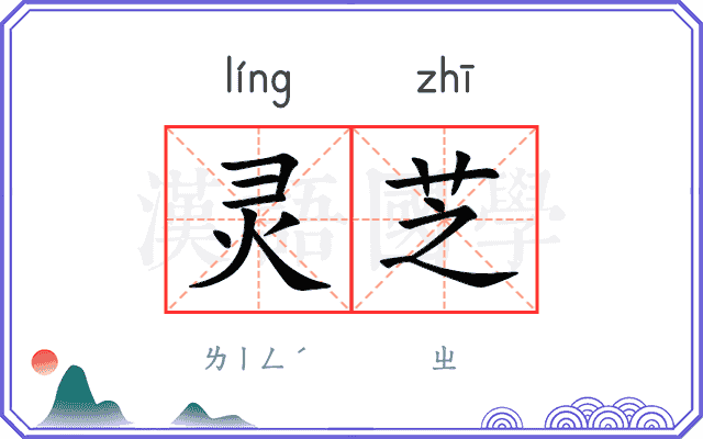 灵芝