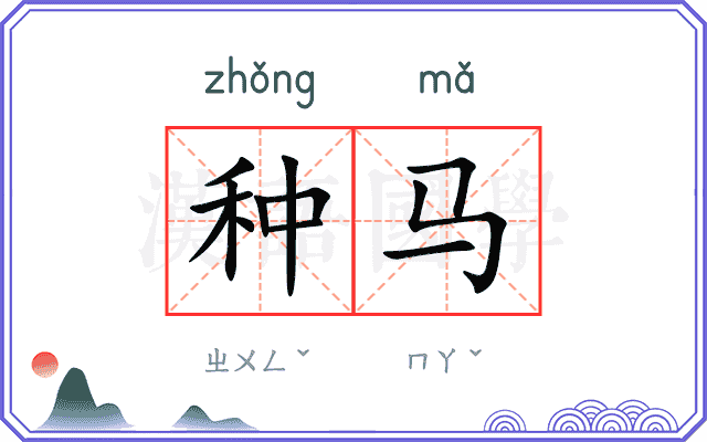 种马 种马