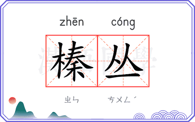 榛丛